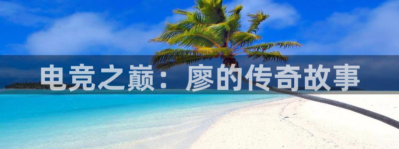 火博电竞app官网网站：电竞之巅：廖的传奇故事