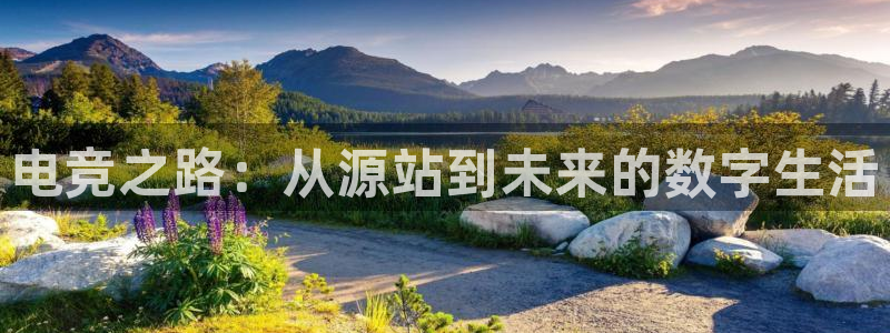 火博电竞官网入口：电竞之路：从源站到未来的数字生活