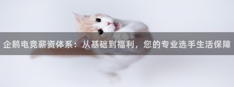 火博电竞app官网网站：企鹅电竞薪资体系：从基础到福利，您的专业选手生活保障