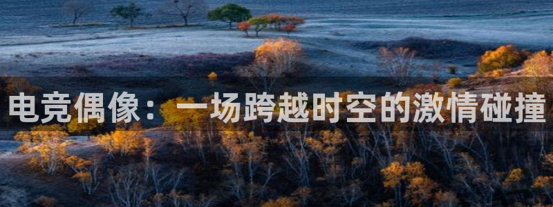 火博电竞app官网网站：电竞偶像：一场跨越时空的激情碰撞