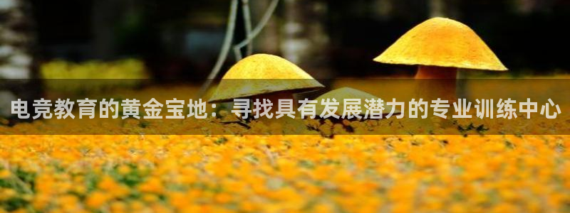 火博电竞app官网网站：电竞教育的黄金宝地：寻找具有发展潜力的专业训练中心