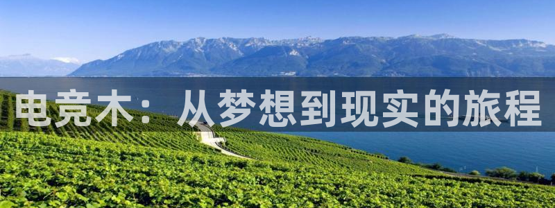 火博电竞：电竞木：从梦想到现实的旅程