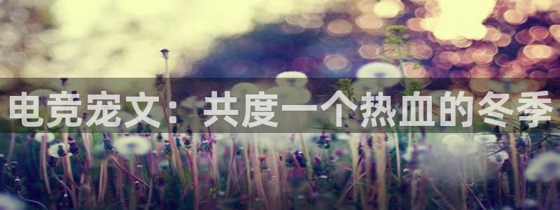 火博电竞app官网网站：电竞宠文：共度一个热血的冬季