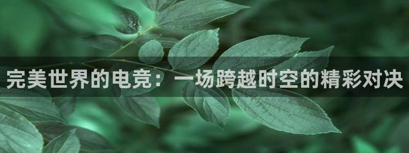 火博电竞app官网网站：完美世界的电竞：一场跨越时空的精彩对决
