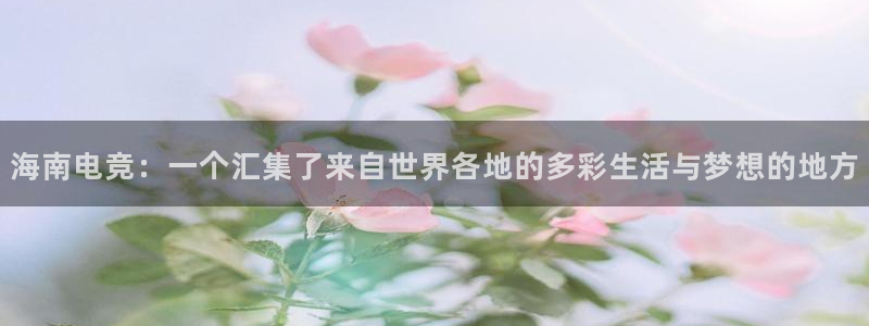 火博电竞官网入口：海南电竞：一个汇集了来自世界各地的多彩生活与梦想的地方