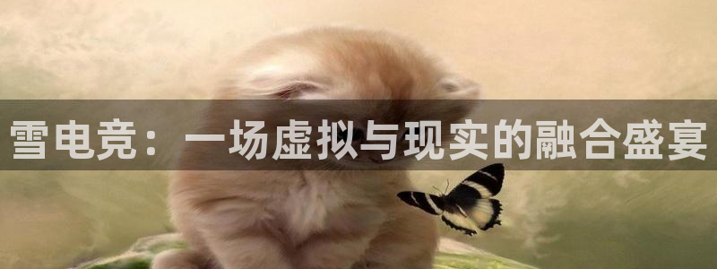 火博电竞官网入口：雪电竞：一场虚拟与现实的融合盛宴
