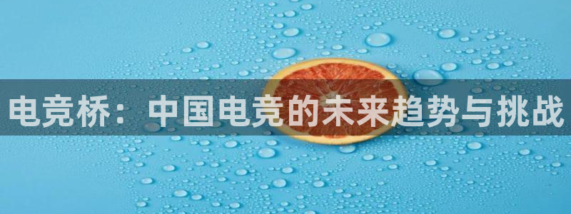 火博电竞官网入口：电竞桥：中国电竞的未来趋势与挑战