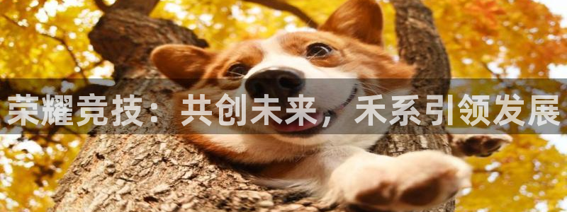 火博电竞网站：荣耀竞技：共创未来，禾系引领发展