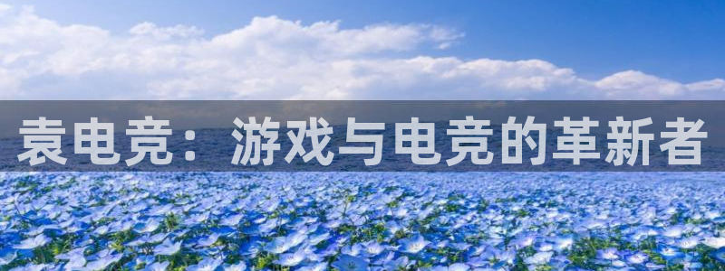 火博电竞：袁电竞：游戏与电竞的革新者