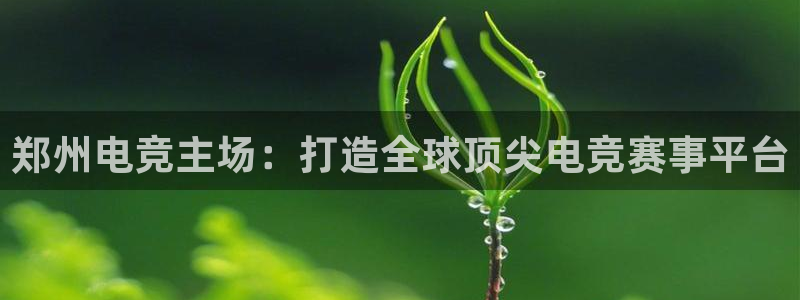 火博电竞：郑州电竞主场：打造全球顶尖电竞赛事平台