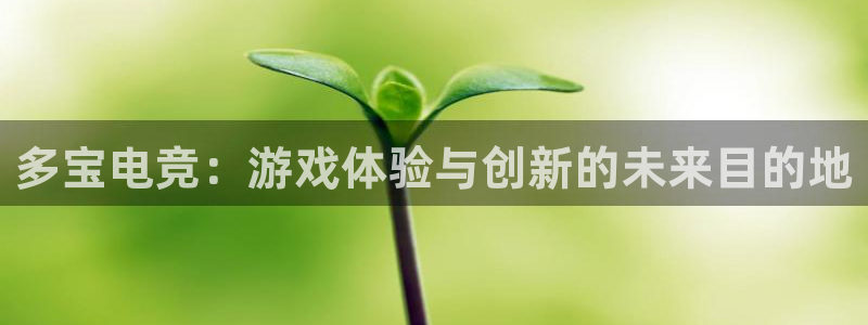 火博电竞网站：多宝电竞：游戏体验与创新的未来目的地